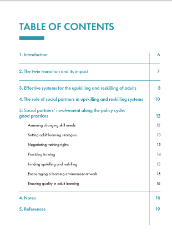 table of contents of twin transition brief